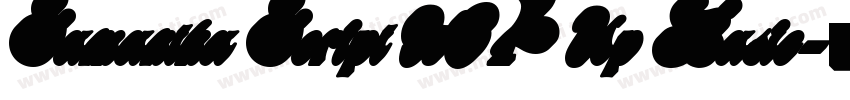 Samantha Script W04 Up Basic字体转换